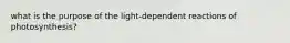 what is the purpose of the light-dependent reactions of photosynthesis?