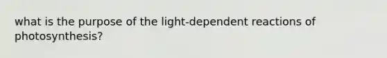 what is the purpose of the light-dependent reactions of photosynthesis?