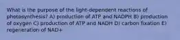 What is the purpose of the light-dependent reactions of photosynthesis? A) production of ATP and NADPH B) production of oxygen C) production of ATP and NADH D) carbon fixation E) regeneration of NAD+