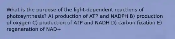 What is the purpose of the light-dependent reactions of photosynthesis? A) production of ATP and NADPH B) production of oxygen C) production of ATP and NADH D) carbon fixation E) regeneration of NAD+