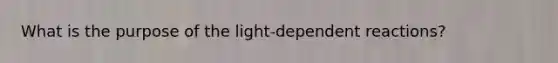 What is the purpose of the light-dependent reactions?