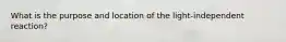 What is the purpose and location of the light-independent reaction?