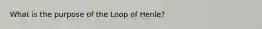 What is the purpose of the Loop of Henle?