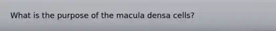 What is the purpose of the macula densa cells?