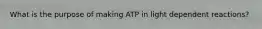 What is the purpose of making ATP in light dependent reactions?