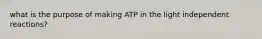 what is the purpose of making ATP in the light independent reactions?