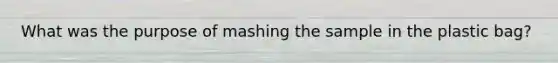 What was the purpose of mashing the sample in the plastic bag?