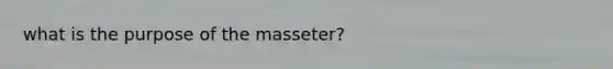 what is the purpose of the masseter?