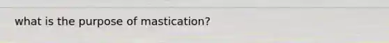 what is the purpose of mastication?