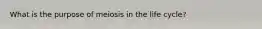 What is the purpose of meiosis in the life cycle?