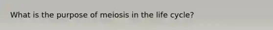 What is the purpose of meiosis in the life cycle?