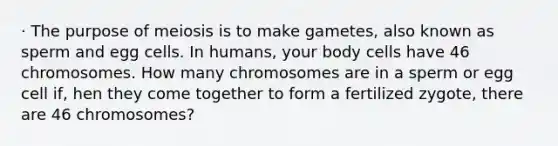 · The purpose of meiosis is to make gametes, also known as sperm and egg cells. In humans, your body cells have 46 chromosomes. How many chromosomes are in a sperm or egg cell if, hen they come together to form a fertilized zygote, there are 46 chromosomes?