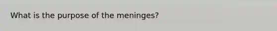 What is the purpose of <a href='https://www.questionai.com/knowledge/k36SqhoPCV-the-meninges' class='anchor-knowledge'>the meninges</a>?