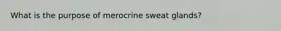 What is the purpose of merocrine sweat glands?