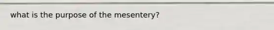 what is the purpose of the mesentery?