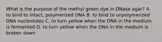 What is the purpose of the methyl green dye in DNase agar? A. to bind to intact, polymerized DNA B. to bind to unpolymerized DNA nucleotides C. to turn yellow when the DNA in the medium is fermented D. to turn yellow when the DNA in the medium is broken down