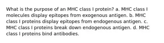 What is the purpose of an MHC class I protein? a. MHC class I molecules display epitopes from exogenous antigen. b. MHC class I proteins display epitopes from endogenous antigen. c. MHC class I proteins break down endogenous antigen. d. MHC class I proteins bind antibodies.