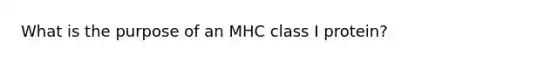 What is the purpose of an MHC class I protein?