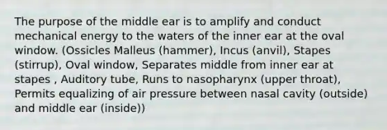 The purpose of the middle ear is to amplify and conduct mechanical energy to the waters of the inner ear at the oval window. (Ossicles Malleus (hammer), Incus (anvil), Stapes (stirrup), Oval window, Separates middle from inner ear at stapes , Auditory tube, Runs to nasopharynx (upper throat), Permits equalizing of air pressure between nasal cavity (outside) and middle ear (inside))