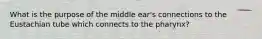 What is the purpose of the middle ear's connections to the Eustachian tube which connects to the pharynx?