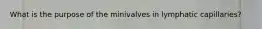 What is the purpose of the minivalves in lymphatic capillaries?