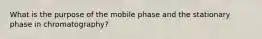 What is the purpose of the mobile phase and the stationary phase in chromatography?