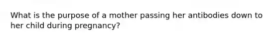 What is the purpose of a mother passing her antibodies down to her child during pregnancy?