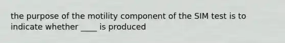 the purpose of the motility component of the SIM test is to indicate whether ____ is produced