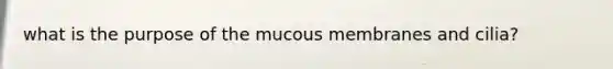 what is the purpose of the mucous membranes and cilia?