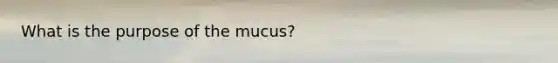 What is the purpose of the mucus?