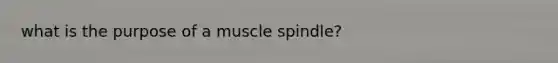 what is the purpose of a muscle spindle?