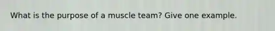 What is the purpose of a muscle team? Give one example.