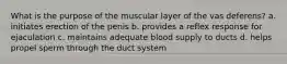 What is the purpose of the muscular layer of the vas deferens? a. initiates erection of the penis b. provides a reflex response for ejaculation c. maintains adequate blood supply to ducts d. helps propel sperm through the duct system