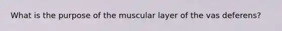 What is the purpose of the muscular layer of the vas deferens?