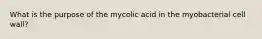 What is the purpose of the mycolic acid in the myobacterial cell wall?