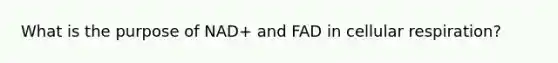What is the purpose of NAD+ and FAD in cellular respiration?