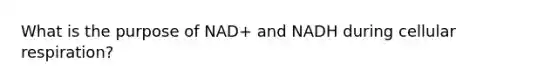 What is the purpose of NAD+ and NADH during cellular respiration?