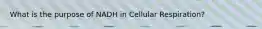 What is the purpose of NADH in Cellular Respiration?