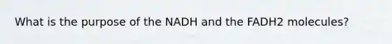 What is the purpose of the NADH and the FADH2 molecules?