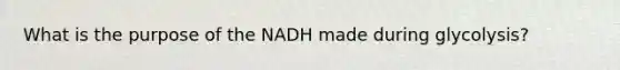 What is the purpose of the NADH made during glycolysis?