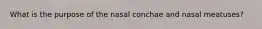 What is the purpose of the nasal conchae and nasal meatuses?