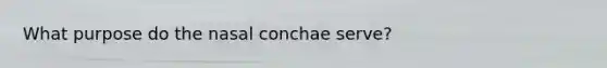 What purpose do the nasal conchae serve?