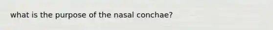 what is the purpose of the nasal conchae?