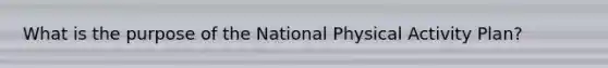 What is the purpose of the National Physical Activity Plan?