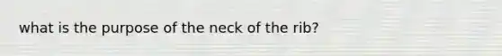 what is the purpose of the neck of the rib?