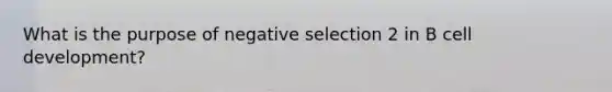 What is the purpose of negative selection 2 in B cell development?