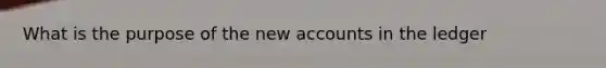 What is the purpose of the new accounts in the ledger