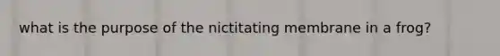 what is the purpose of the nictitating membrane in a frog?