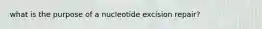 what is the purpose of a nucleotide excision repair?