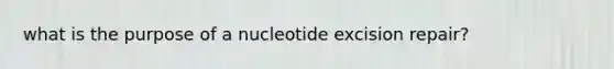 what is the purpose of a nucleotide excision repair?